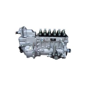 Fuel injection pump assembly 1001671519