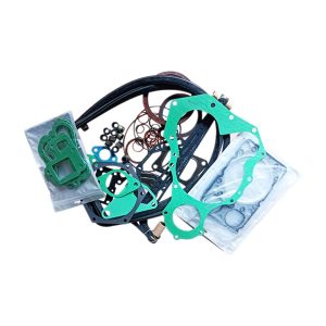 Engine repair kit 1002580535