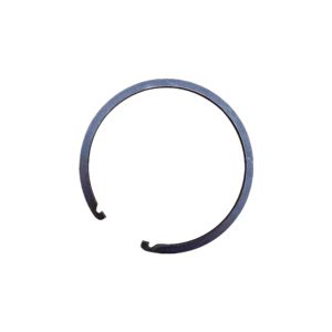 Ring 12JS160T-1701107