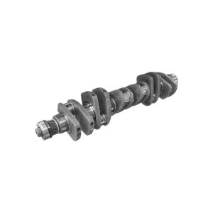 Crankshaft assembly 161500020071