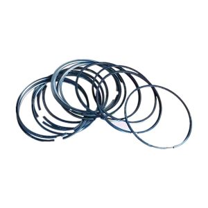Piston ring assembly 202V02503-6011