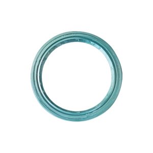 Oil seal 24L-01090