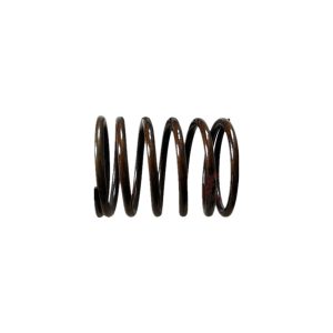 Valve springs 4.06.165