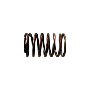 Valve springs 4.06.166
