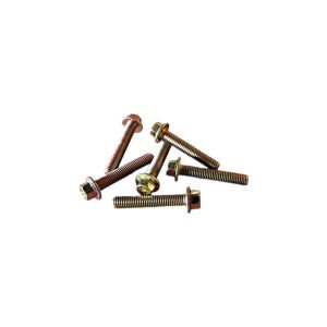Hexagonal flange face bearing bolts with teeth 90011430020