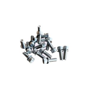 Hexagonal round head screw