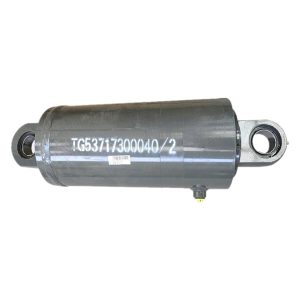 Cylinder assembly TG53717300040