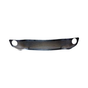 Bumper grille WG1642242105