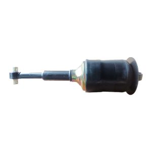 Air spring shock absorber assembly WG9925528108